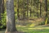 73 Forest Drive, Repton, NSW 2454-Image