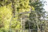 73 Forest Drive, Repton, NSW 2454-Image