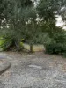 73 Goanna Flats Road, Rubyvale, Qld 4702-Image