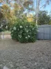 73 Goanna Flats Road, Rubyvale, Qld 4702-Image