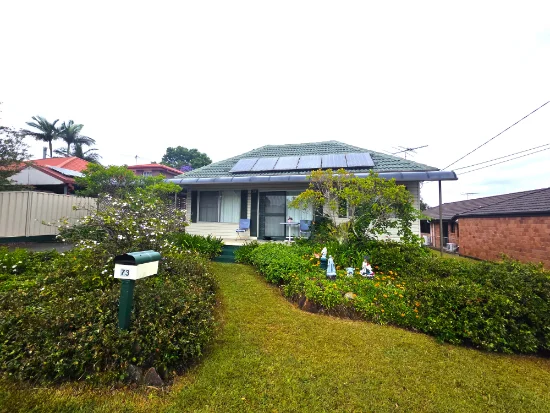73 Hammersmith Street, Coopers Plains, Qld 4108 - For Sale