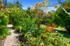 73 High Chapparal Road, Kuranda, Qld 4881-Image