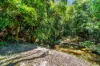 73 High Chapparal Road, Kuranda, Qld 4881-Image
