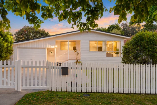 73 Highgate Street, Coopers Plains, Qld 4108