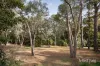 73 Ingrams Road, Research, Vic 3095-Image