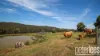 73 Johnstons Road, Hillwood, Tas 7252-Image