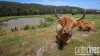 73 Johnstons Road, Hillwood, Tas 7252-Image