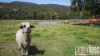 73 Johnstons Road, Hillwood, Tas 7252-Image