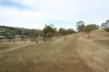 73  Moculta Road, Angaston, SA 5353-Image