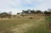 73  Moculta Road, Angaston, SA 5353-Image