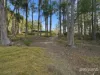 73 Moodys Road, Allens Rivulet, Tas 7150-Image
