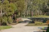 73 Narrung Road, Meningie, SA 5264-Image