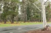 73 Owen Dixon Drive, Evatt, ACT 2617-Image
