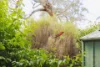 73 Rivett Street, Hackett, ACT 2602-Image