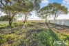 73 Todd Road, Beaufort, SA 5550-Image