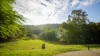 73 Whispering Gum Avenue, Eumundi, Qld 4562-Image