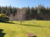 735 Beulah Road, Beulah, Tas 7306-Image