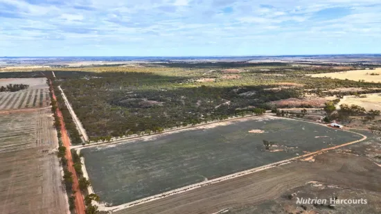 737 Cusack Drive, Wadderin, WA 6369