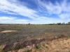 737 Cusack Drive, Wadderin, WA 6369-Image