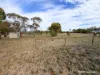 737 Cusack Drive, Wadderin, WA 6369-Image