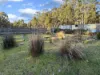 7380 Esk Main Road, St Marys, Tas 7215-Image