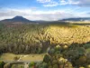 7380 Esk Main Road, St Marys, Tas 7215-Image