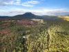 7380 Esk Main Road, St Marys, Tas 7215-Image