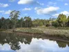 7380 Esk Main Road, St Marys, Tas 7215-Image