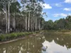 7380 Esk Main Road, St Marys, Tas 7215-Image