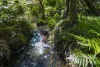 739 Mount Macedon Road, Mount Macedon, Vic 3441-Image