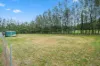 739 The Bucketts Way, Limeburners Creek, NSW 2324-Image