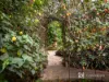 73A LONGWARRY ROAD, Drouin, Vic 3818-Image