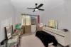 74 Christensen Street, Urraween, Qld 4655-Image
