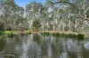 74 Cleveland Avenue, Lower Plenty, Vic 3093-Image