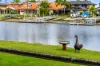 74 Dolphin Drive, West Ballina, NSW 2478-Image