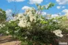 74 East Street, Mount Morgan, Qld 4714-Image