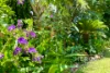 74 Freshwater Road, Jingili, NT 0810-Image