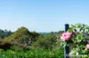 74 Golden Wattle Drive, Ulladulla, NSW 2539-Image
