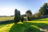 74 Hamilton Street, Latrobe, Tas 7307-Image