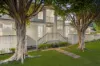 74 Harold Street, Holland Park, Qld 4121-Image