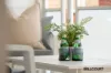 74 Lansdowne Road, Kensington, WA 6151-Image
