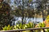 74 Mactier Street, Narrabeen, NSW 2101-Image
