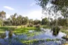 74 Meander Road, Hurstbridge, Vic 3099-Image