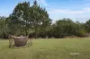 74 Mount Walker West Road, Lower Mount Walker, Qld 4340-Image