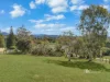 74 Saddleback Dve, Dayboro, Qld 4521-Image
