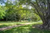 74 Stringybark Drive, Chermside West, Qld 4032-Image