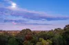 74 Tamworth Drive, Helensvale, Qld 4212-Image