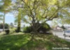 74 Warialda Road, Inverell, NSW 2360-Image