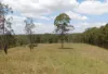 740 Mongogarie Road, Leeville, NSW 2470-Image