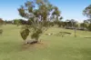 7402 Ilford Sofala Road, Ilford, Mudgee, NSW 2850-Image